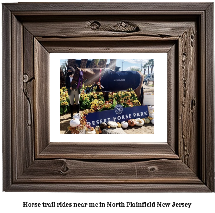 horse trail rides near me in North Plainfield, New Jersey